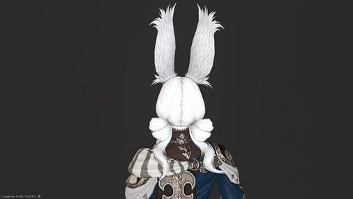 Portrait Back