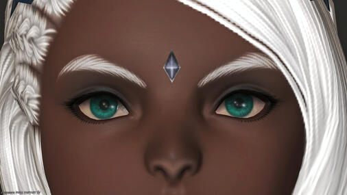 Eyes, Eyebrows, and Forehead